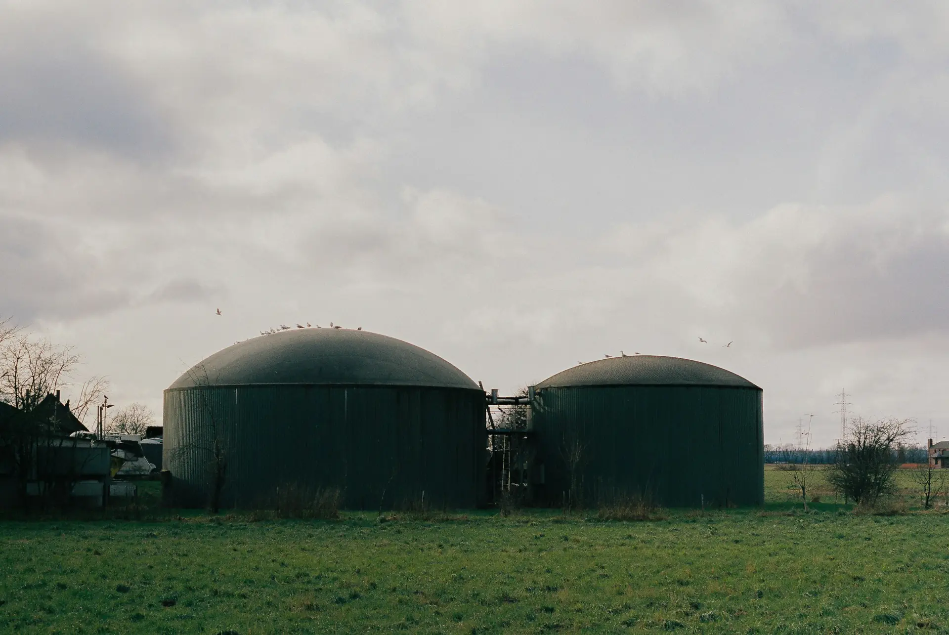 Biogasanlæggets kupler